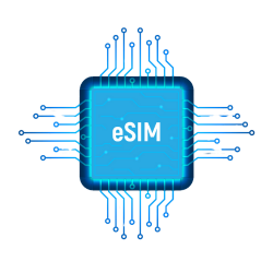 eSim